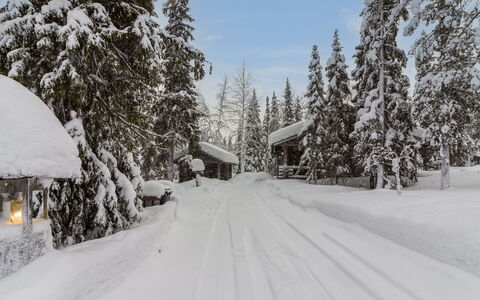 Mäkikelo: Neve, Ramo, Inverno, Albero, Congelamento, Fenomeno Geologico, Pendenza, Brina, Larice, Villetta