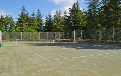 Udder - 1.3Km from the Sea: Campo Da Tennis, Inverno, Netto, Larice, Sempreverde