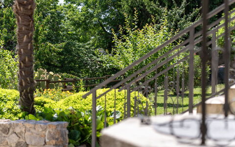 Lovran 325: Verde, Le Scale, Giardino, Corrimano, Shade, Colonna, Landscaping, Design, Cortile, Backyard