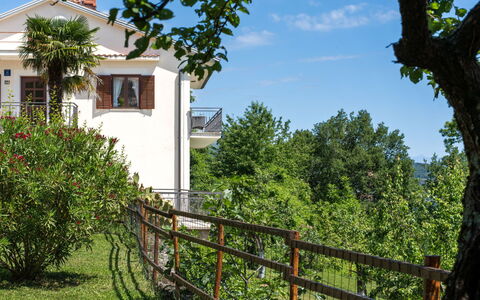 Lovran 325: Arbusto, Balcone, Giardino, Shade, Cortile, Portico, Villa, Backyard