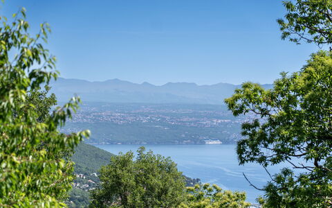 Orbani: Blu, Foglia, Verde, Albero, Natura, Ambiente Naturale, Geografia Montane, Vegetazione, Paesaggio Naturale, Collina