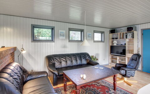 Kate - 700M to the Fjord: Soffitto, Legna, Interior Design, Pavimentazione, Pavimento, Mobilia, Divano, Camera, Soggiorno, Casa