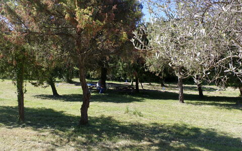 Villa Bienêtre: Costruzione, Giorno, Grattacielo, Area Metropolitana, Città, Appartamento, Zona Urbana, Architettura, Condominio