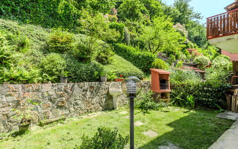 Lidia: Verde, Arbusto, Giardino, Comunita 'Impianto, Groundcover, Landscaping, Cortile, Backyard, Giardino Botanico