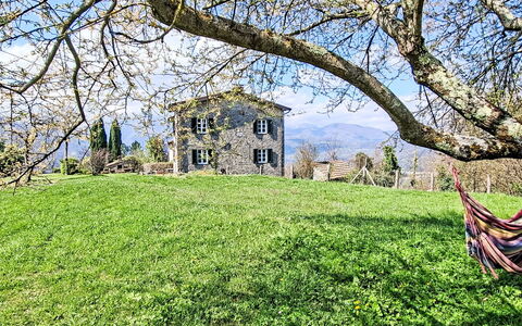 Il Colle di Tiglio: Erba, Arbusto, Casa, Paesaggio, Casa, Pascolo, Lotto, Area Rurale, Villetta, Prato