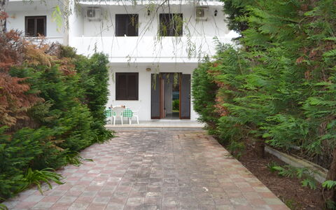 Amanda: Giardino, Cortile, Backyard, Sempreverde