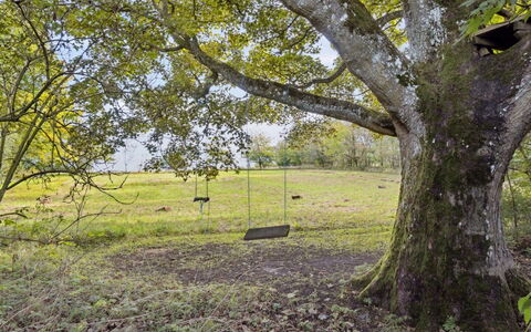 Sigbritt - 3.7Km from the Sea: Ramo, Foglia, Erba, Albero, Ambiente Naturale, Pascolo, Tronco, Plain, Ramoscello, Lotto