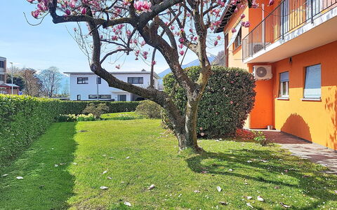 Sailor'S Home: Casa, Casa, Prato, Giardino, Cortile, Backyard, Shade, Landscaping, Hedge, Home Scherma