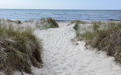 Aarre - 1Km from the Sea: Ambiente Naturale, Spiaggia, Costa, Mare, Riva, Costiera E Morfologie Oceanic, Sabbia, Oceano, Onda
