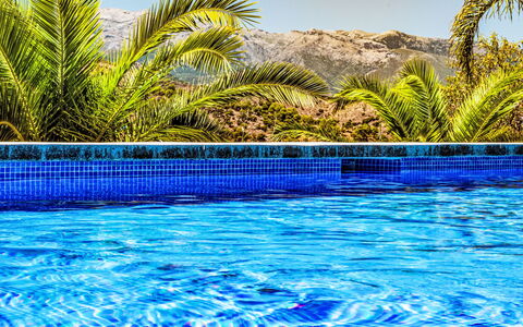Coin 2: Blu, Acqua, Piscina, Ricorrere, Tropici, Eco Hotel, Hotel, Giochi D'Acqua