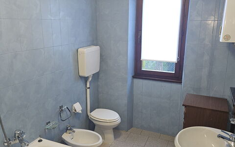 The Heritage Home: Idraulico Fixture, Pavimentazione, Bagno, Pavimento, Lavello, Gabinetto, Idraulico, Toilet Seat, Rubinetto, Lavandino Del Bagno
