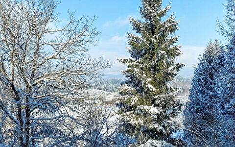 Apartamento Giovanna: Blu, Neve, Ramo, Inverno, Albero, Brina, Ramoscello, Congelamento, Larice