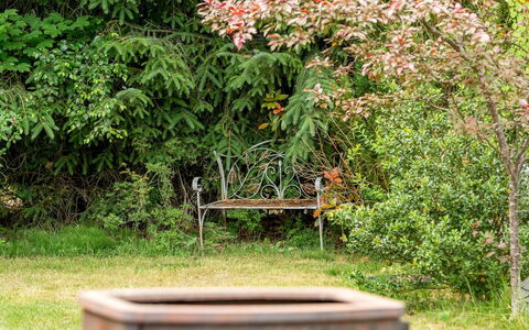 Jamie - from the Sea: Foglia, Vegetazione, Arbusto, Comunita 'Impianto, Giardino, Primavera, Groundcover, Prato, Parco, Cortile