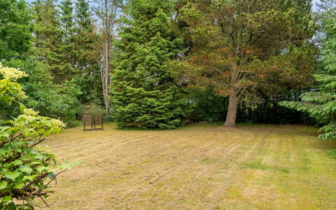Jamie - from the Sea: Albero, Erba, Verde, Foglia, Arbusto, Giardino, Lotto, Prato, Groundcover