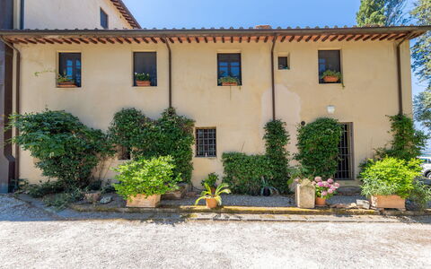 Palaia 629: Parete, Arbusto, Facciata, Casa, Zona Residenziale, Casa, Porta, Insediamento Umano, Giardino