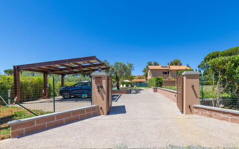 Rose Adriano Home: Shade, Estate, Giardino, Driveway, Landscaping, Hacienda, Cancello, Recinzione, Home Scherma, Villa
