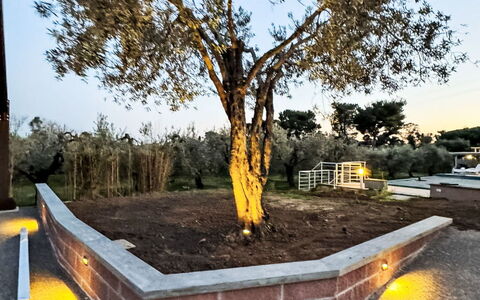 Rose Adriano Home: Appartamento, Ricorrere, Sedia, Shade, Balcone, Cucina & Sala Da Pranzo Tavolo, Ristorante, Eco Hotel, Hotel