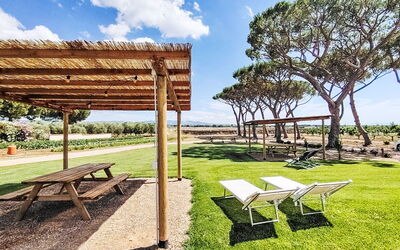 Bibbona 15: Shade, Giardino, Prato, Landscaping, Parco, Struttura Esterna, Legname