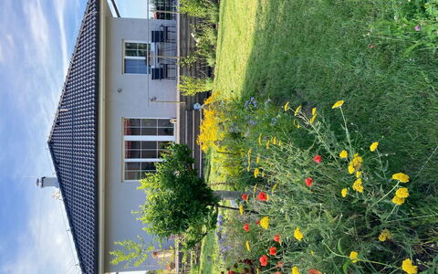 Hillside View: Verde, Casa, Casa, Giardino, Primavera, Prato, Cortile, Backyard, Shade, Landscaping