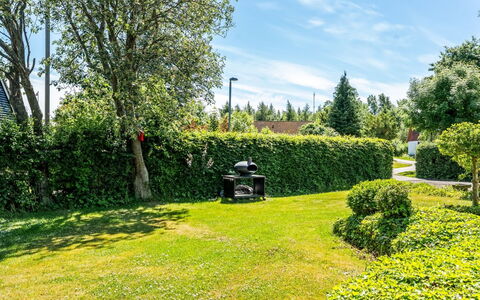 Fausta - 2Km from the Sea: Verde, Erba, Arbusto, Giardino, Paesaggio, Lotto, Prato, Hedge, Groundcover