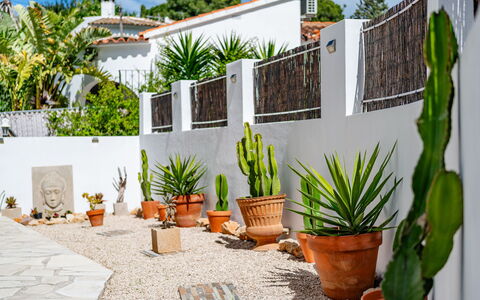 Rincón del Sol: Mobilia, Legna, Sedia, Pavimento, Mare, Balcone, Recinzione, Deck, Latifoglie, Color Legno