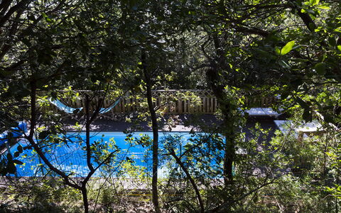 Villa Sole - Exclusive Villa al Conero con Piscina: Blu, Natura, Foglia, Ramo, Piscina, Shade, Luce Del Sole, Ramoscello, Giardino, Backyard