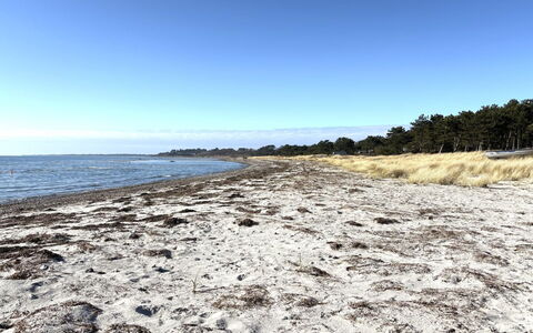 Euphemia - 200M from the Sea: Acqua, Spiaggia, Costa, Riva, Orizzonte, Costiera E Morfologie Oceanic, Mare, Sabbia, Oceano