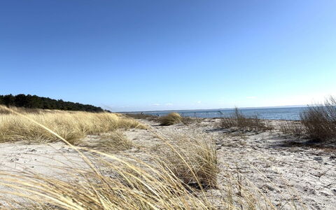 Euphemia - 200M from the Sea: Ambiente Naturale, Costa, Spiaggia, Ecoregione, Costiera E Morfologie Oceanic, Mare, Riva, Sabbia, Oceano, Shrubland