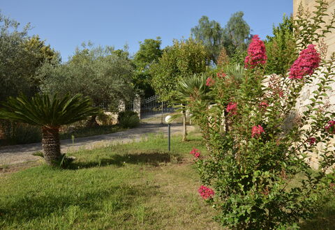 Villa del Monte: Fiore, Arbusto, Giardino, Rosa, Primavera, Pianta Fiorita, Landscaping, Giardino Botanico, Cortile