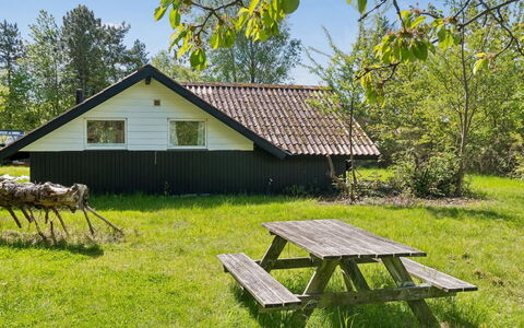 Petkana - 4Km from the Sea: Erba, Albero, Villetta, Casa, Lotto, Casa, Area Rurale, Tetto, Groundcover