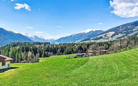 Panoramablick Tauern: Erba, Verde, Geografia Montane, Natura, Pascolo, Montagna, Paesaggio Naturale, Collina, Paesaggio