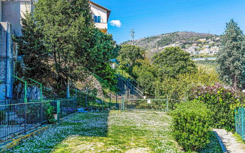 Geranio: Blu, Architettura, Zona Residenziale, Casa, Primavera, Appartamento, Giardino, Sobborgo, Balcone, Recinzione