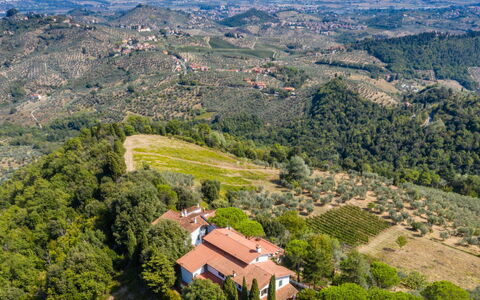 Villa Colle Mediceo: 