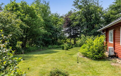 Friderica - 30Km from the Sea: Erba, Albero, Verde, Giardino, Arbusto, Paesaggio, Prato, Lotto, Villetta