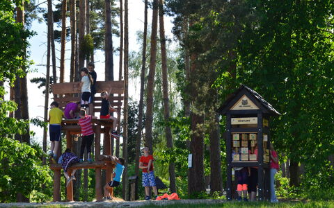 Hradec Kralove 4: Albero, Legna, Ricreazione, Spazio Pubblico, Ricreazione All'Aperto, Tempo Libero, Primavera, Divertimento, Parco, Bambino