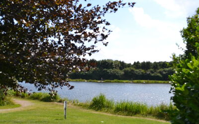 Jalina - 30Km from the Sea