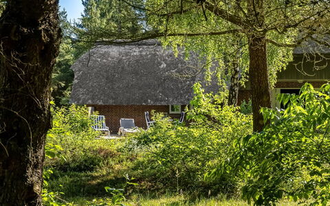 Ullamaj - 700M from the Sea