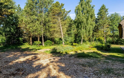 Ullamaj - 700M from the Sea: Foglia, Albero, Erba, Ramo, Vegetazione, Arbusto, Comunita 'Impianto, Giardino, Groundcover, Tronco