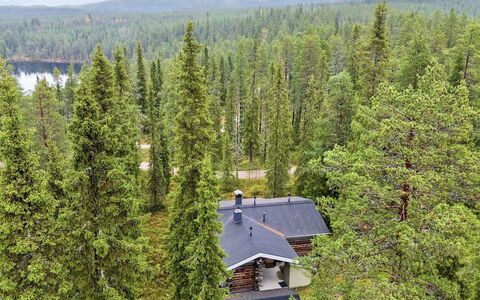Rukan Kivikelo: Albero, Ambiente Naturale, Foglia, Foresta, Comunita 'Impianto, Larice, Woodland, Riserva Naturale