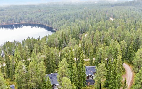 Rukan Kivikelo: Albero, Ambiente Naturale, Natura, Foresta, Paesaggio, Comunita 'Impianto, Lotto, Woodland