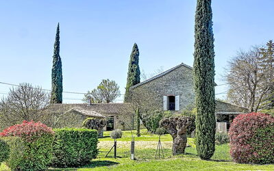 Mas des Vignes