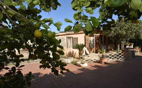 Ranch Salomonello: Arbusto, Vaso Di Fiori, Giardino, Shade, Pianta Della Casa, Cortile, Backyard, Landscaping, Sedia