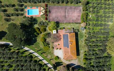Il Leccio, Vinci, Private Pool and Tennis: Albero, Paesaggio, Lotto, Estate, Piantagione, Giardino, Landscaping, Visione Globale, Prato, Parco