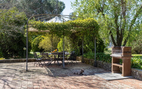 Il Leccio, Vinci, Private Pool and Tennis: Giardino, Shade, Struttura Esterna, Flagstone, Gazebo, Padiglione, Landscaping, Mobili Da Esterno, Backyard