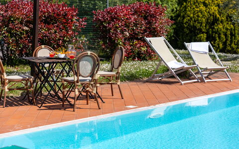 Il Leccio, Vinci, Private Pool and Tennis: Piscina, Mobili Da Esterno, Ricorrere, Mobilia, Eco Hotel, Shade, Sedia, Lettino, Vaso Di Fiori, Pianta Della Casa