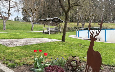Viechtach 646: Albero, Erba, Spazio Pubblico, Giardino, Prato, Parco, Tronco, Cortile, Banco, Shade