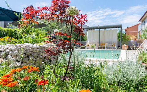 Dolores: Appartamento, Balcone, Condominio, Hotel, Ricorrere, Resort Citta ', Hacienda, Villa, Località Balneare