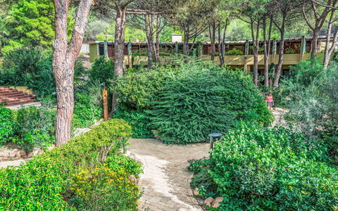 Pula 661: Appartamento, Balcone, Condominio, Hotel, Ricorrere, Resort Citta ', Hacienda, Villa, Località Balneare