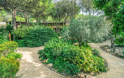 Pula 661: Appartamento, Balcone, Condominio, Hotel, Ricorrere, Resort Citta ', Hacienda, Villa, Località Balneare