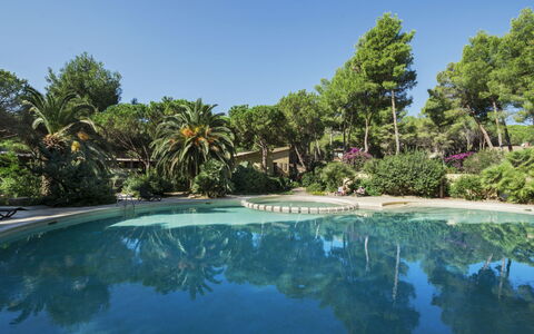 Pula 661: Appartamento, Balcone, Condominio, Hotel, Ricorrere, Resort Citta ', Hacienda, Villa, Località Balneare